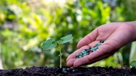 Fermierii nu vor avea restricții la folosirea produselor de protecție a plantelor, anunță MADR
