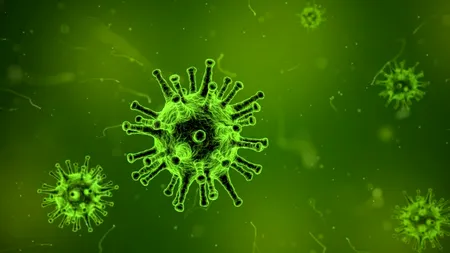 Alertă OMS: Vine virusul Marburg, mult mai periculos decât Ebola și Covid 19