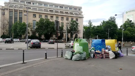 Deși are petiții nesoluționate cu lunile, ADP Sector 1 lansează o nouă aplicație: „sesizări”