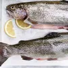 Un peşte românesc te ajută să-ţi menţii inima sănătoasă. Ce recomandă specialiştii