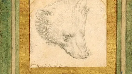 Cu cât s-a vândut “Capul unui urs” al lui da Vinci