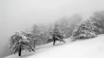 Vin ninsorile în România. Vom avea un Crăciun de poveste