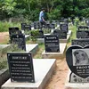 Unde se află cimitirul de animale din România