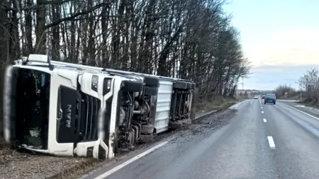 Cod roşu în Teleorman. Un TIR răsturnat, case distruse și copaci doborâți