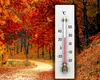 Prognoza meteo 25 octombrie: ceață, burniță și ploi slabe. Unde urcă temperaturile la 20 de grade