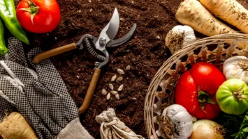 România – campioana risipirii potențialului agroalimentar: cinci cauze ale eșecului