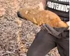 Obuz din Al Doilea Război Mondial, descoperit în pădure lângă Băile Felix