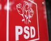 Cine este primul lider PSD care l-a felicitat pe Nicușor Dan