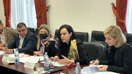 Ministrul Simona Bucura-Oprescu a condus, luni, prima reuniune a Comisiei Naționale de Incluziune Socială