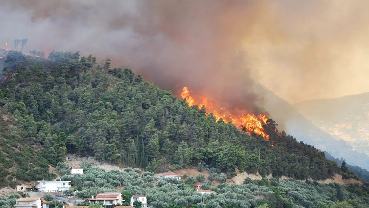 Un foc de artificii a declanșat un incendiu de pădure în Grecia