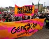 Protestatar pro-Palestina la Eurovision, bruscat de forțele de ordine