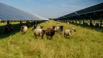 Ministru, afirmaţie şocantă: România nu mai este de ani buni un mare producător de energie