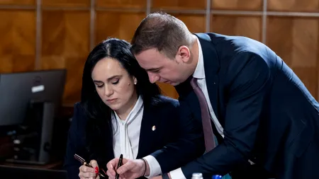 Premieră pe piața muncii: prestatorii de servicii pentru activitățile casnice