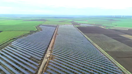 Doral Energy, care deține cel mai mare proiect solar din SUA, dezvoltă două parcuri fotovoltaice în Brăila și Călărași