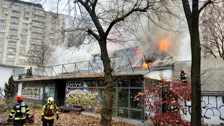 Incendiu la restaurantul „Mărul de Aur”. Pompierii intervin și salvează doi căței din interiorul clădirii (FOTO+VIDEO)