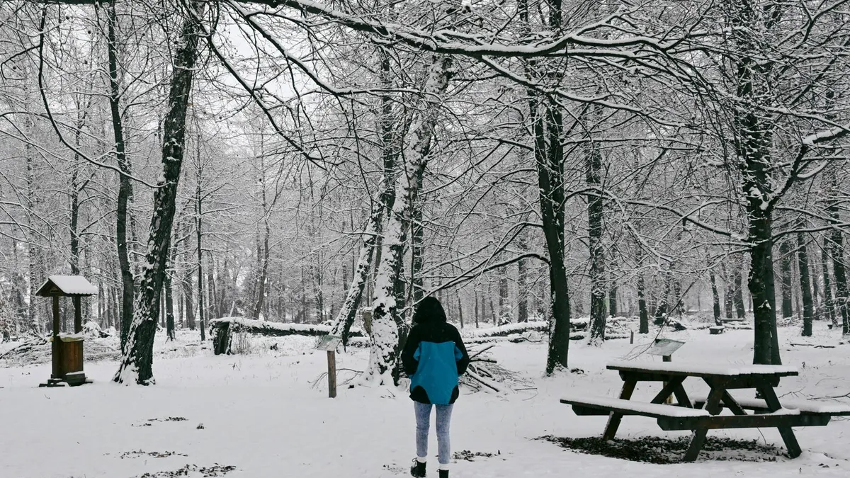 Pe urmele lui Eminescu. Unde sunt „Pădurea de Argint” și „Codrii de Aramă” şi cum le poţi vizita