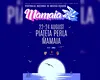 Festivalul Mamaia 2025 – ce mai înseamnă muzica ușoară astăzi