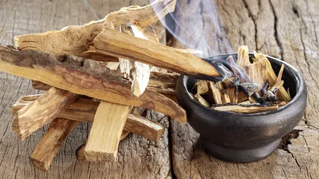 Ce este Palo Santo și cum se folosește pentru purificarea casei