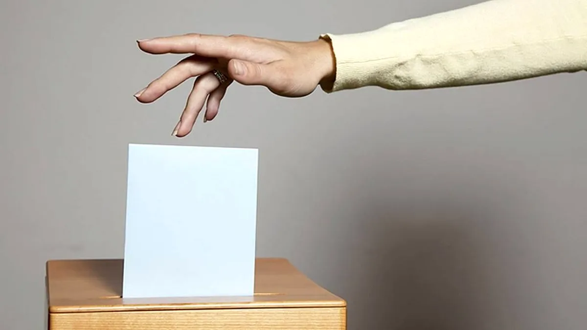 România: Câți cetăţeni cu drept de vot au fost înscrişi în Registrul electoral. Ce intenționează studenții