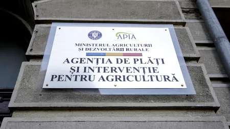 APIA are un nou director general. Cine este Gabriela Nicoleta Andrei