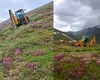 Vegetație distrusă în Munții Făgăraș: Un cioban a săpat ilegal un drum către stână