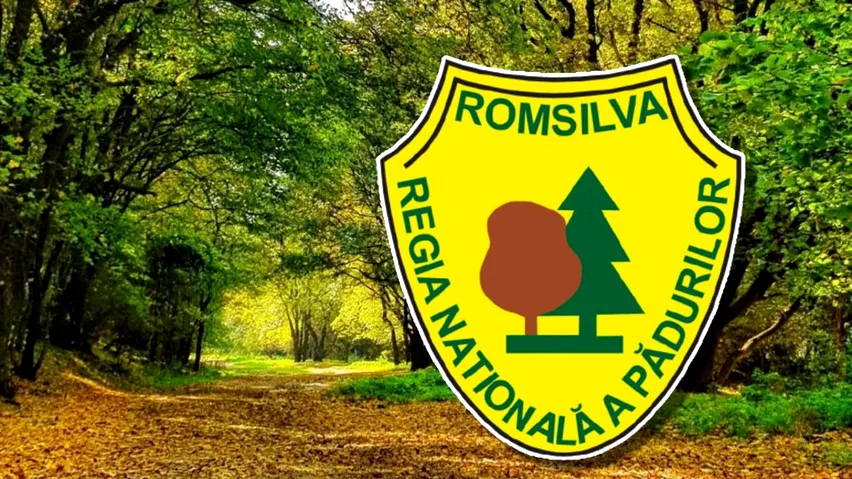 Regula de aur a achizițiilor la Romsilva: Cinci firme împart o treime din buget