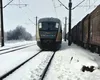 Un tren s-a defectat, în câmp, în judeţul Teleorman. Peste 30 de pasageri au aşteptat în frig altă locomotivă (FOTO)