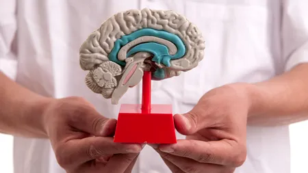 Consumul apei de la robinet crește semnificativ riscul de demență
