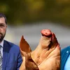 Cazul capului de porc găsit la poarta lui Marius Lulea. Claudiu Târziu vorbește despre propriile acțiuni de intimidare din partea AUR