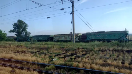 Rusia interzice majoritatea importurilor de produse agricole din Republica Moldova. Cum stă Transnistria