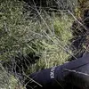 Dronă Shahed prăbușită în Republica Moldova: explozie și incendiu lângă Copanca, în plină noapte