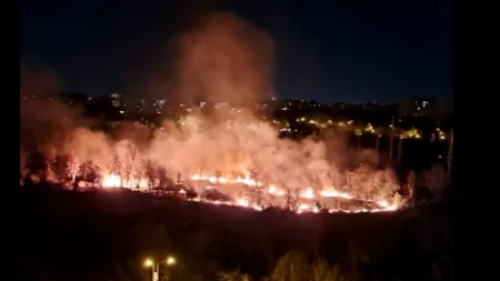 ALERTĂ! Arde Parcul IOR din Capitală VIDEO