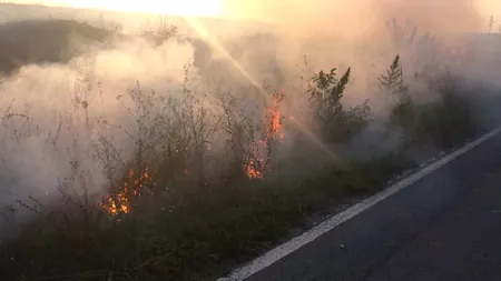 Apel ISU:„Nu mai incendiați terenurile!” 140 de incendii în 24 de ore!