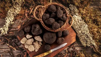 Un oraș european a primit titlul de capitala trufelor. Deține titlul de oraș gastronomic UNESCO