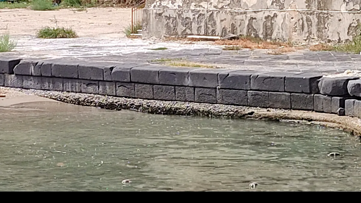 Mare cu șobolani în apropiere de Napoli