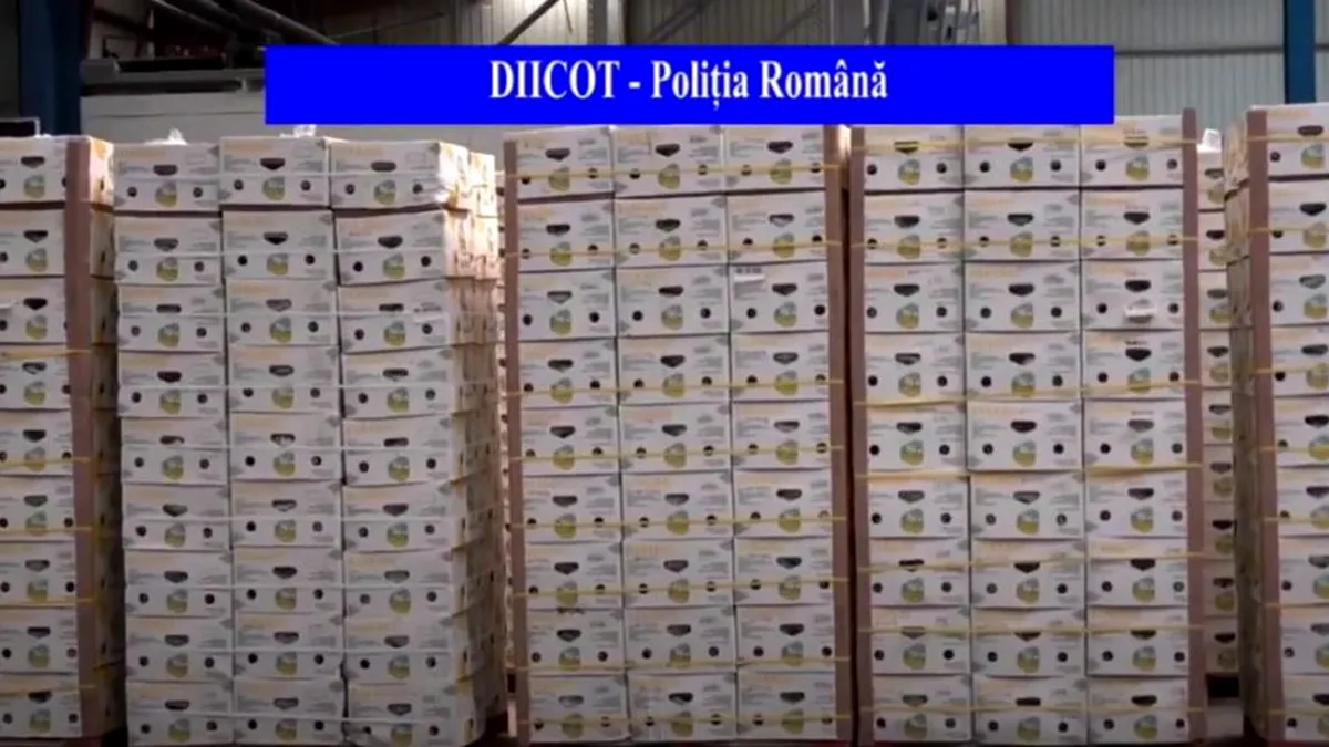 Captură impresionantă de droguri! Jumătate de tonă de cocaină, descoperită în baxuri de banane (VIDEO)