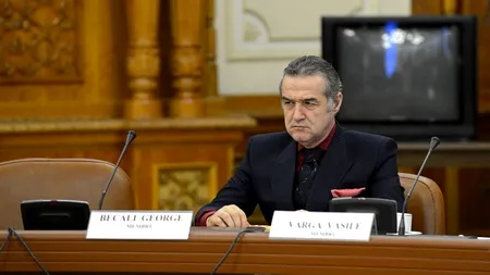 Gigi Becali vrea să ajungă senator AUR de București