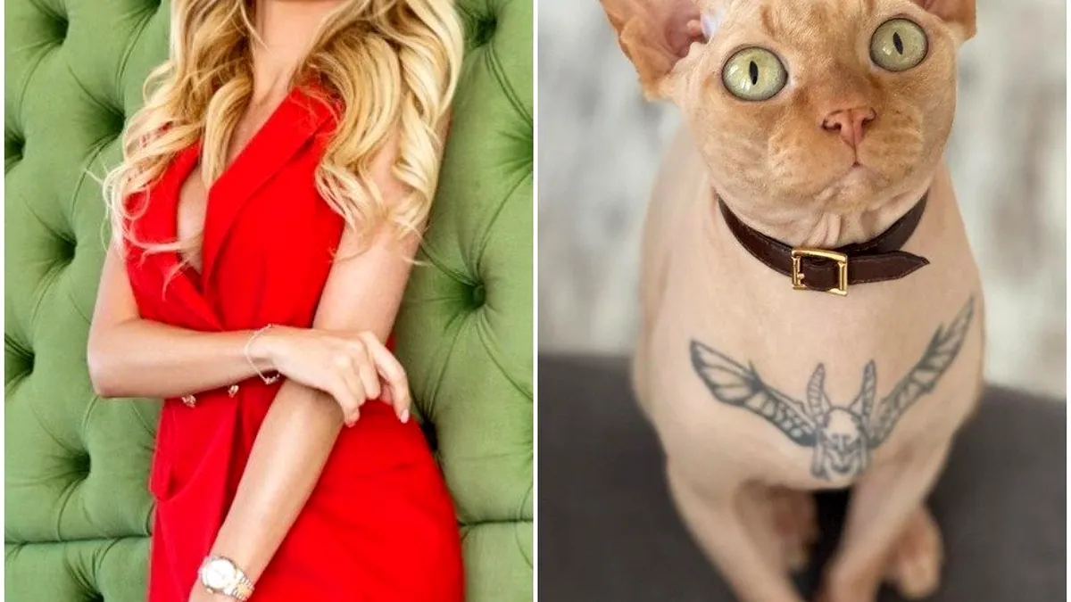 Un model de pe Instagram i-a revoltat pe iubitorii de animale după ce și-a tatuat pisica din rasa Sfinx