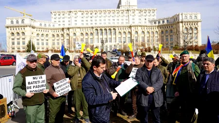 Protest al silvicultorilor la Camera Deputaților: „Pădurile statului intră pe mâna unor grupuri de interese”