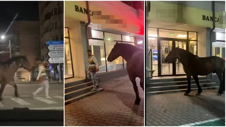 Incident neobişnuit, la Slatina! Amendat după ce s-a plimbat cu un cal pe trotuar (VIDEO)