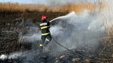 Incendii de amploare în Caraș Severin. Intervine și Armata!