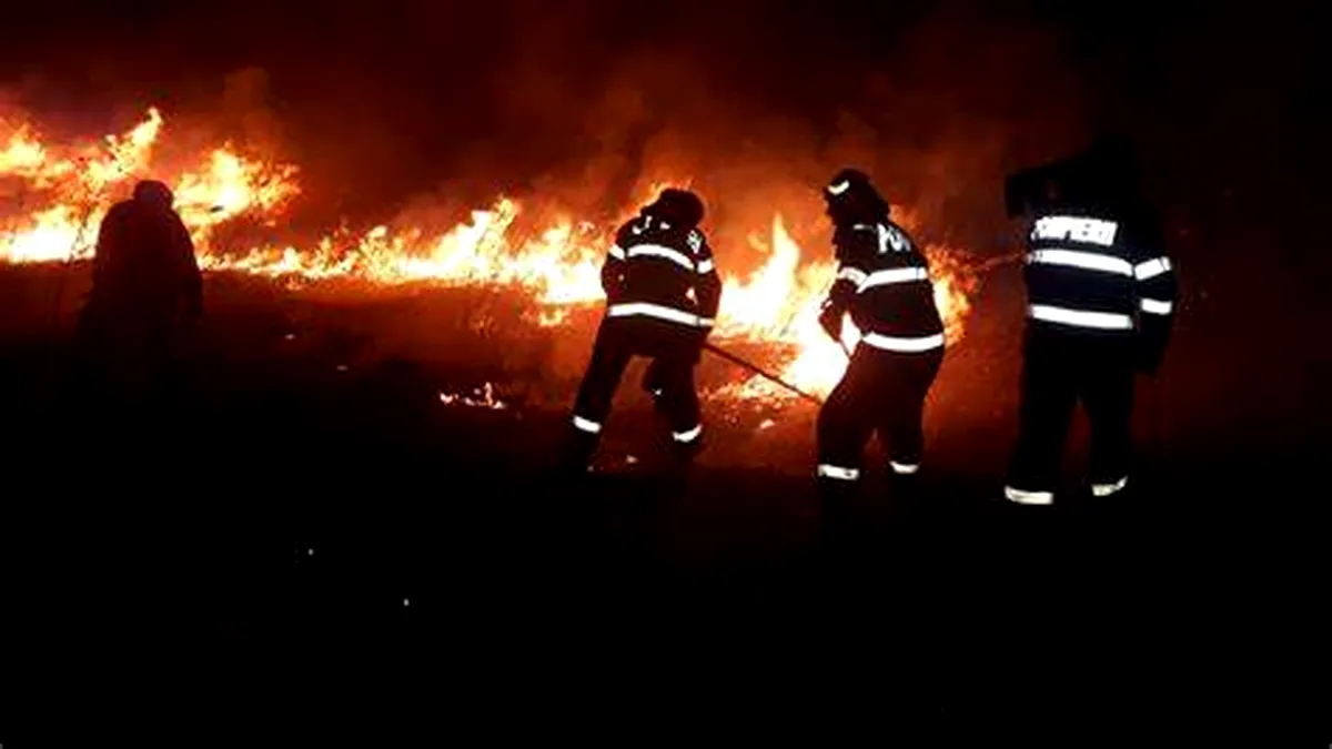 Fermă distrusă de incendiu. 600 de porci au ars de vii