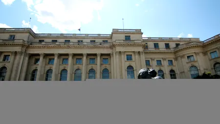 Cum și-a propus Muzeul Naţional de Artă al României să își cunoască mai bine publicul