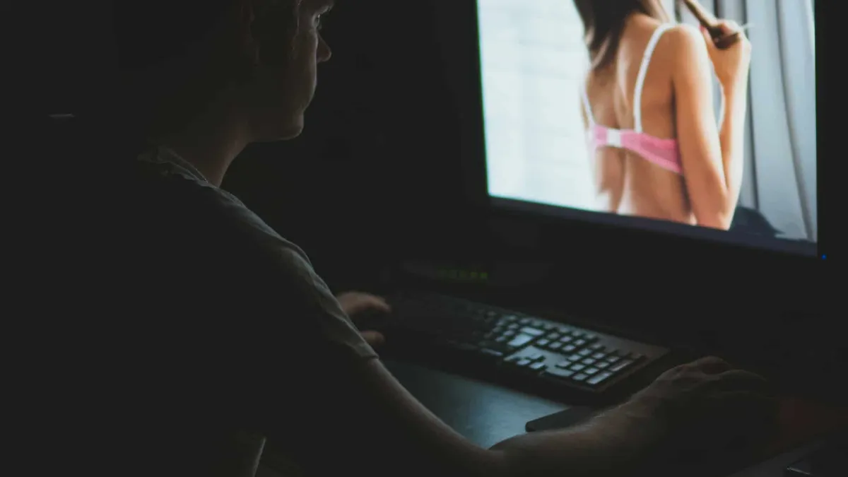 Ce nu vor putea face în România cei care se ocupă cu pornografia infantilă