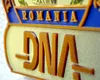 Șeful Direcției Regionale Vamale București, trimis în judecată de DNA alături de alți doi oficiali înalți pentru luare de mită