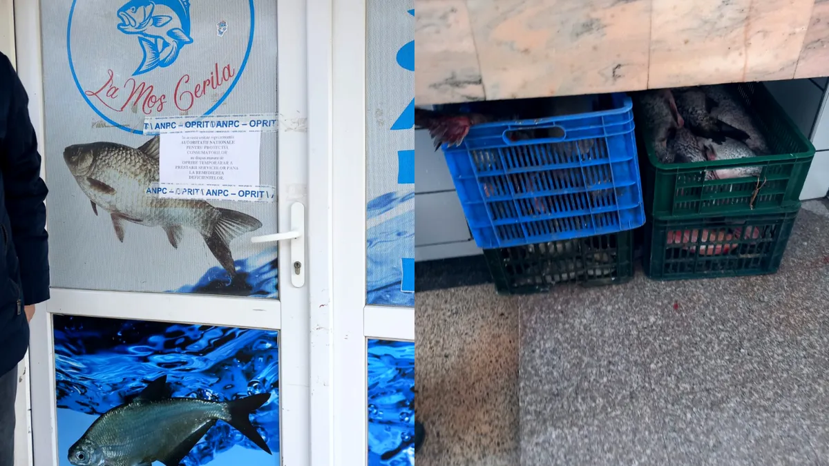 ANPC, controale-șoc în magazinele din România! Pește cu gândaci de Florii și amenzi de peste 1 milion de lei