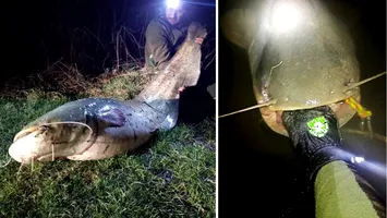 „Monstru” de peste doi metri şi 60 de kilograme scos din ape de un pescar din Mediaş