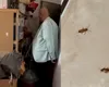 Un restaurant din Mangalia, închis de ANPC după descoperiri șocante: „O luați de la zero!”