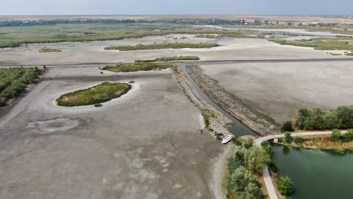 Imagini dramatice din Delta Neajlovului: Parcul Natural Comana, aproape secat din cauza secetei severe