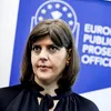 Supravegherea fraudei carusel trece la nivelul următor în UE. EPPO și OLAF ar putea primi acces în timp real la datele privind TVA